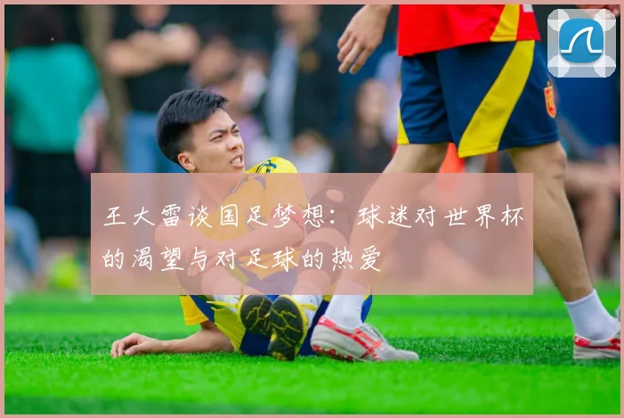 王大雷谈国足梦想：球迷对世界杯的渴望与对足球的热爱